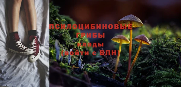 гашик Покровск