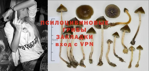 мескалин Абинск
